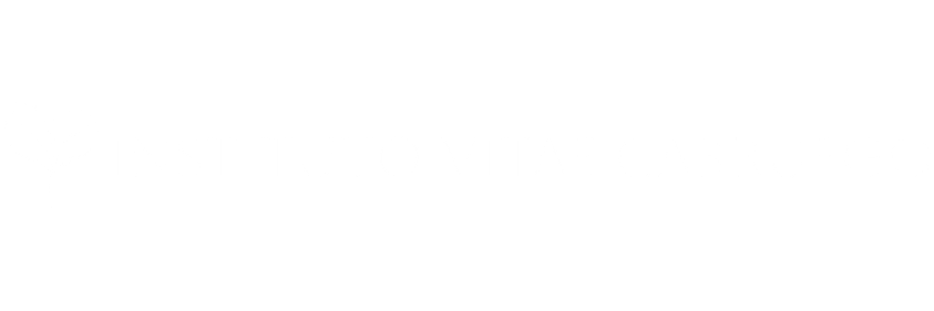 Logo Instituto Vitae Carruego
